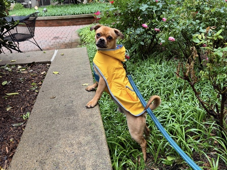 Milo