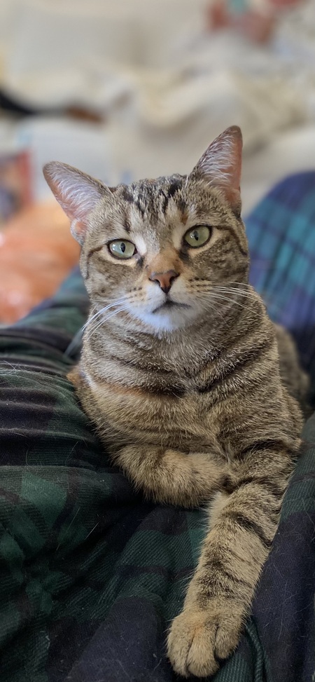 Ellie