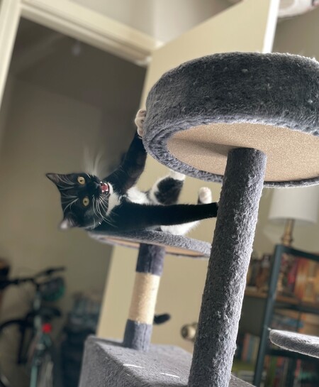 Tux