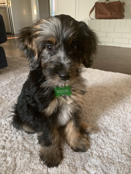 Roscoe