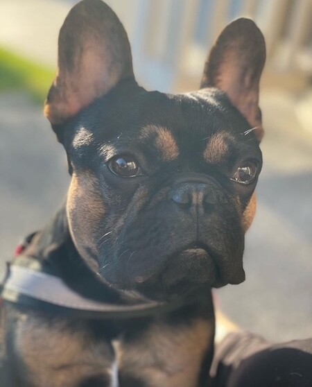 Marley