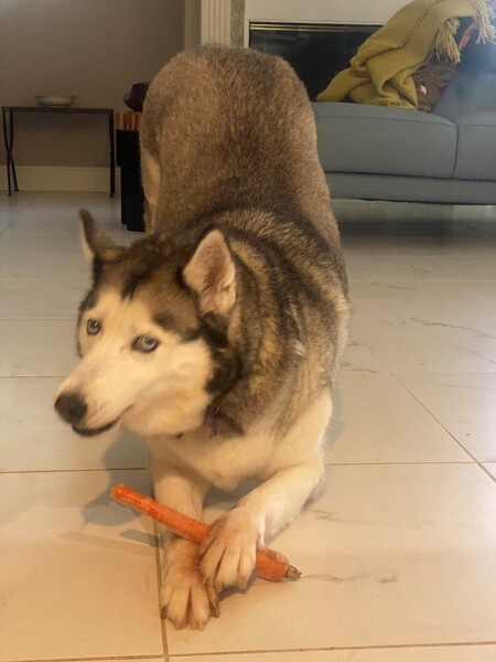 Bella