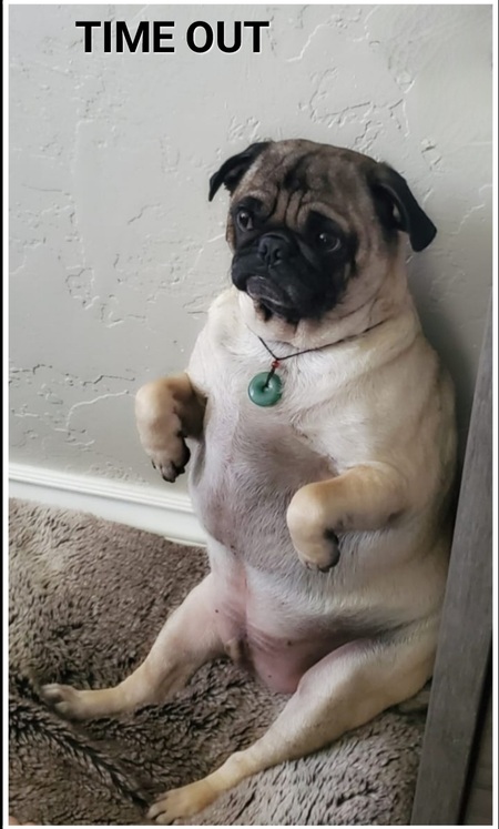 LE