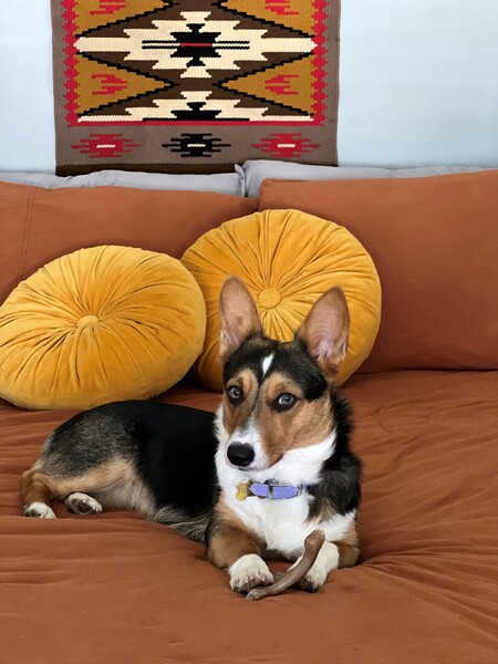 Benny