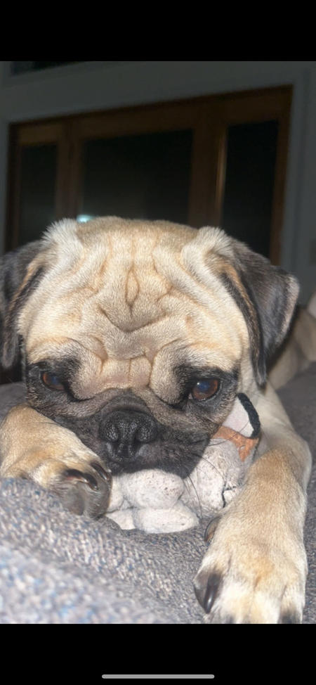 Charlie