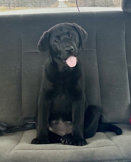 Remi