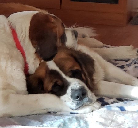Thelma & Duke