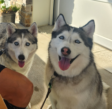 Kaya and Kylo