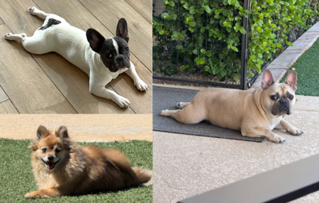 Penelope, Sampson & Cooper