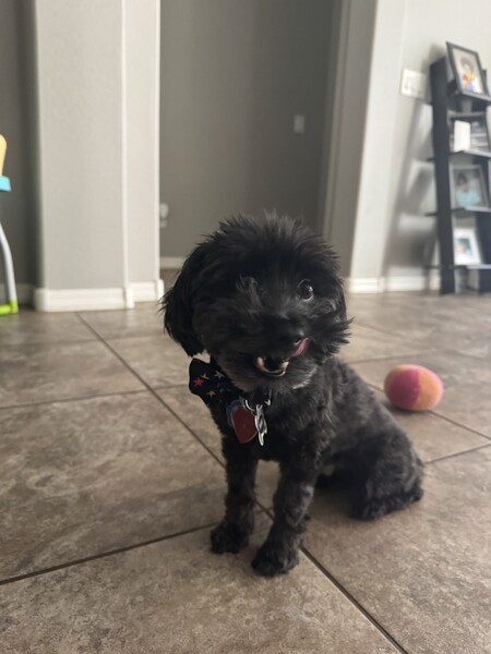 Deuce 