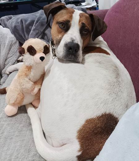 Leroy