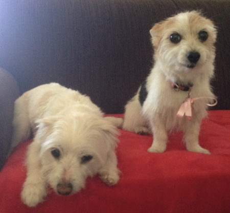 Lila and Daisy