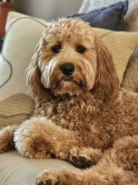 Murphy