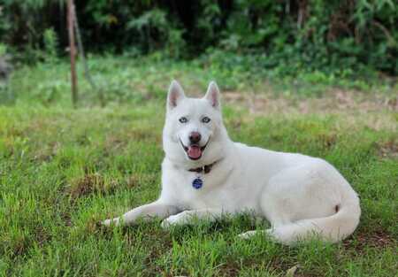 Mishka 