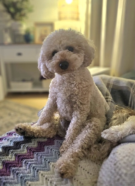 Rupert