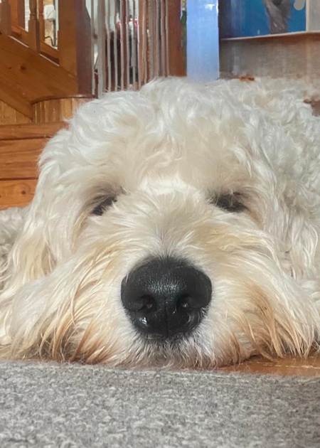 Charlie