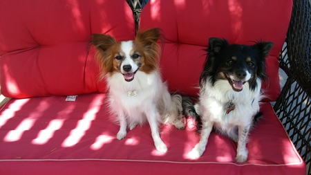 Nicky & Breezy