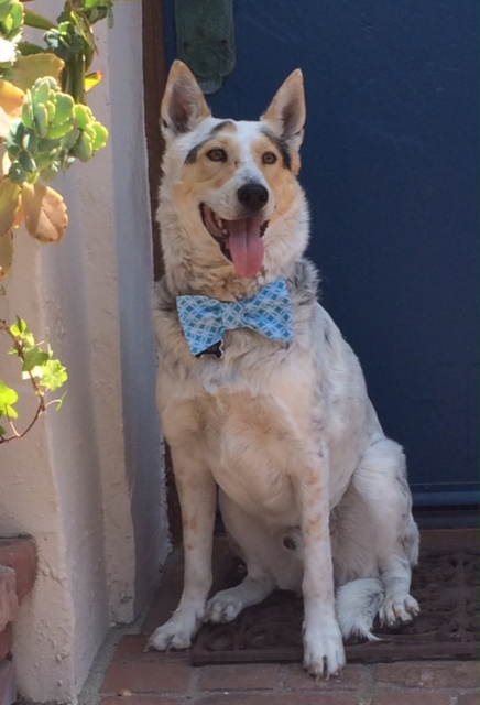 Jack, aka Paul Newman, Mr. GQ, Mr. Handsome