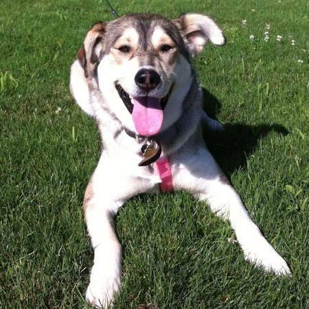Lucy