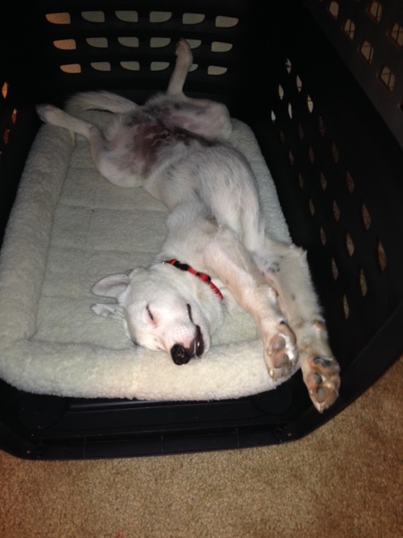 Romo