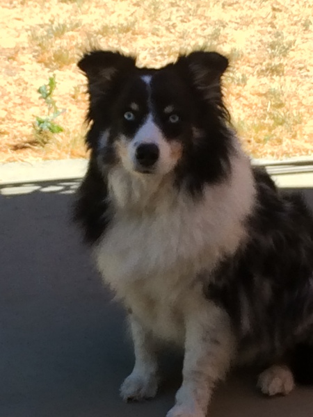 Bella