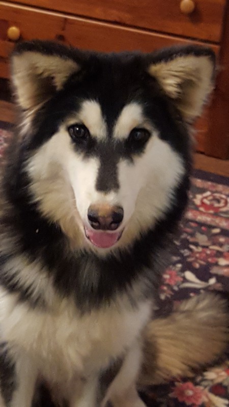 Denali