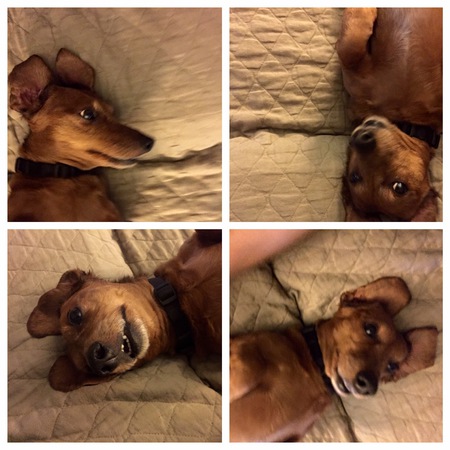 Riley Wiener