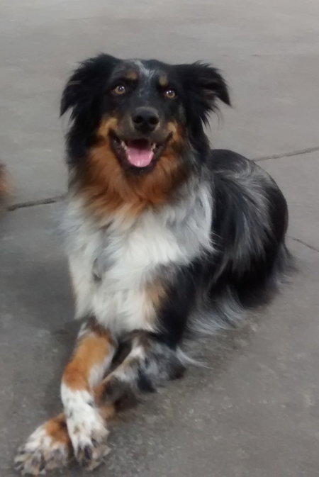 Tess