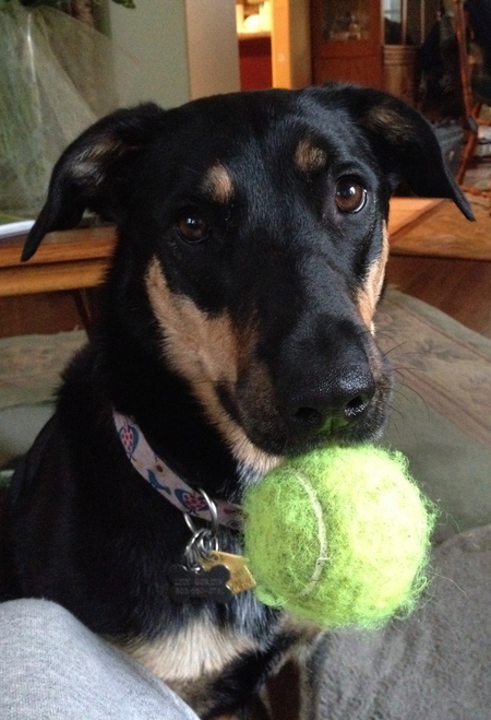 Lily Belle