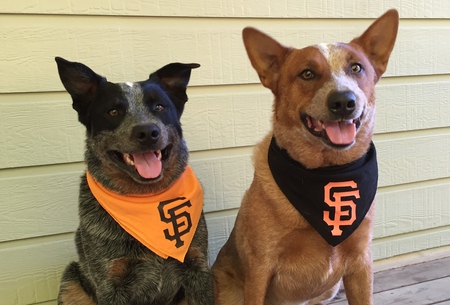 Brisco and Wyck