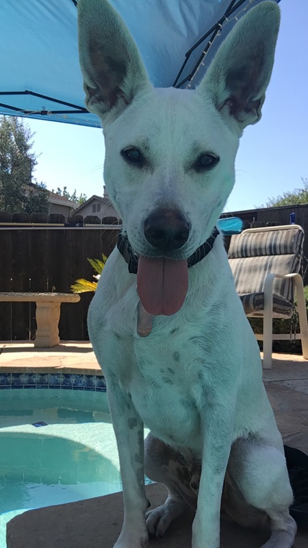 Jax