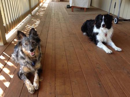 Nikki and Ranger