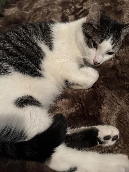 Max 