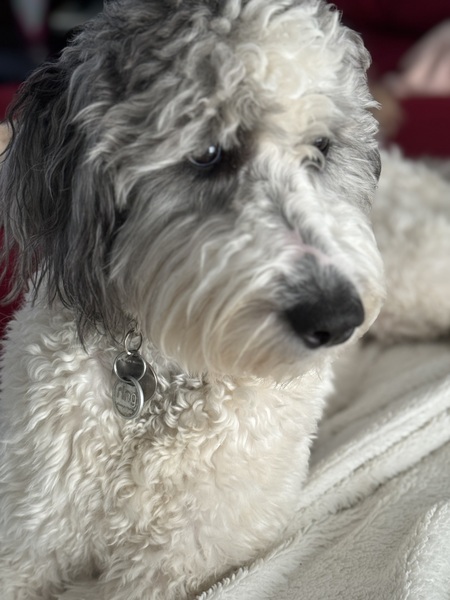 Lucy