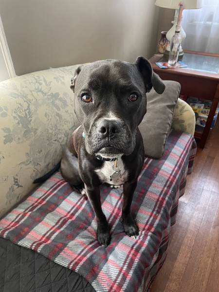 Georgia