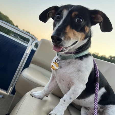 Tallulah