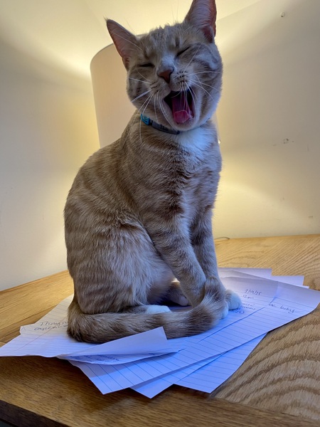 Peanut