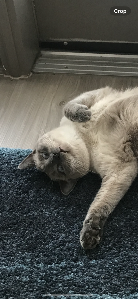 NIGEL