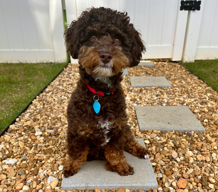 Coco