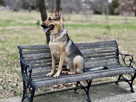 Max