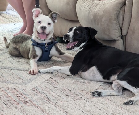 Hiro and Trixie