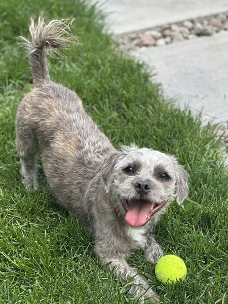 Dakota