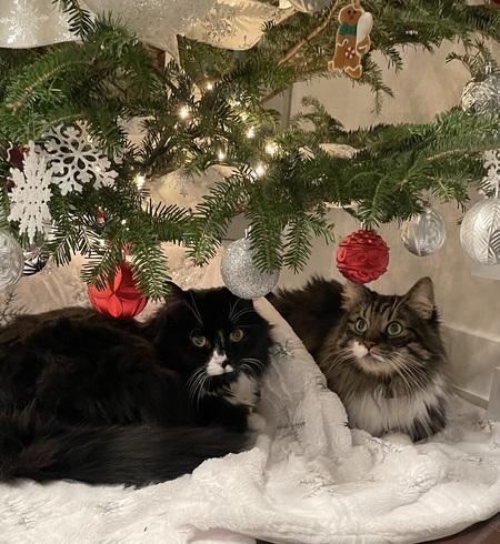 Charli & Leo