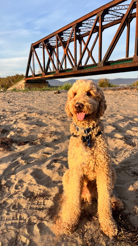 Watson