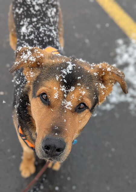 Marley