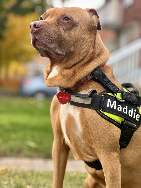 Maddie