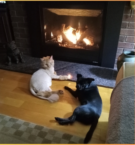 Fluffy and Lucy