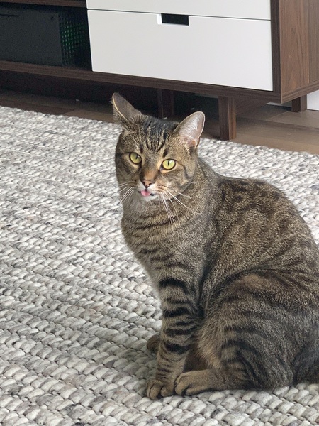 Milo