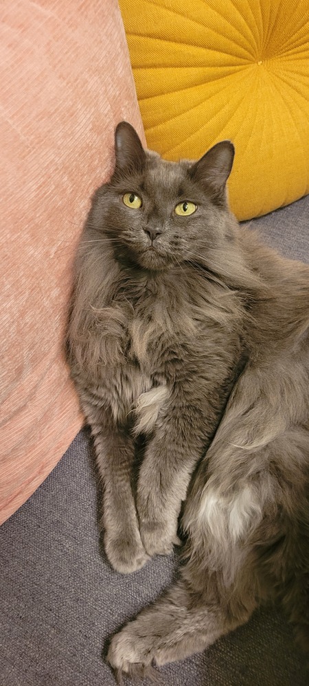 Sally