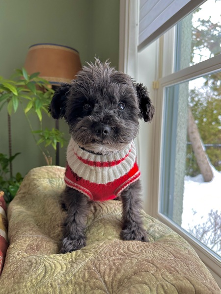 Lu